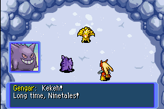 screenshots/Game Boy Advance/Pokemon Mystery Dungeon - Red - Blue - Rescue Team/Pokemon Mystery Dungeon - Red Rescue Team (Eng) 154.png